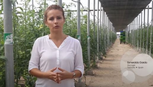 Testimonio Agricultor Tomate Caniles