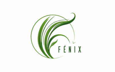 FÉNIX