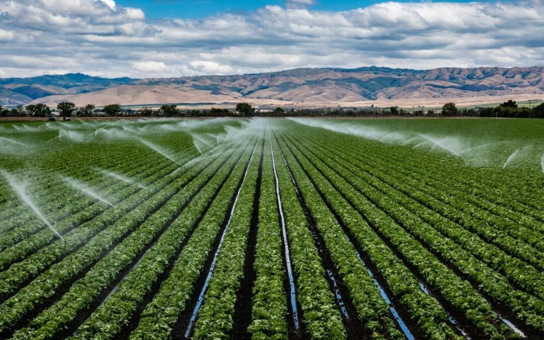 Privatización mundial del agua