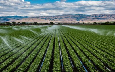 Privatización mundial del agua