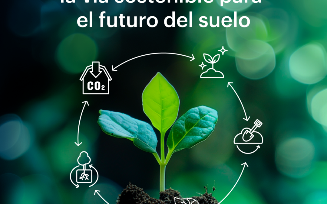 Agricultura Regenerativa: Un Enfoque Transformador para la Sostenibilidad Agrícola