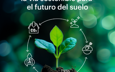 Agricultura Regenerativa: Un Enfoque Transformador para la Sostenibilidad Agrícola