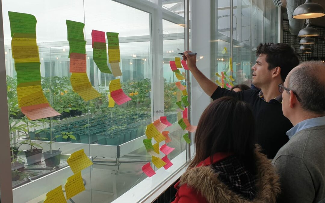 Design Thinking: prototipos para cumplir retos reales