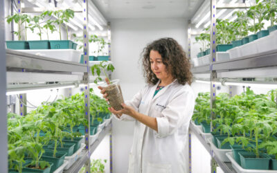 Preparados para la batalla: Priming, sistema inmune de plantas y lucha frente a patógenos