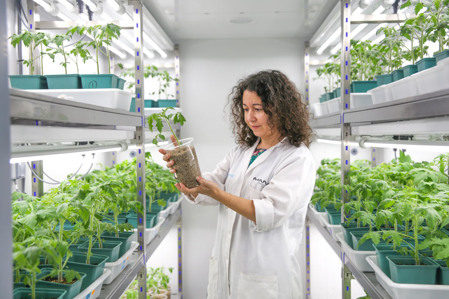 Preparados para la batalla: Priming, sistema inmune de plantas y lucha frente a patógenos