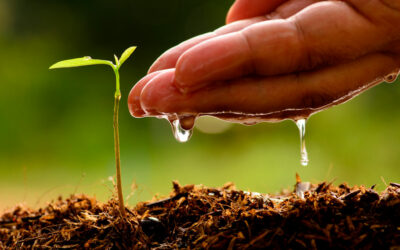 ¿Qué es la Agricultura 4.0?