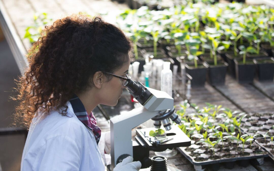 Tecnología para una producción agrícola natural